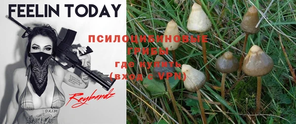 a pvp Белоозёрский